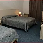 Marty - Tapestry Collection By Hilton Bordeaux